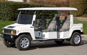 affordable golf cart rental, golf cart rent wilton manors, cart rental wilton manors